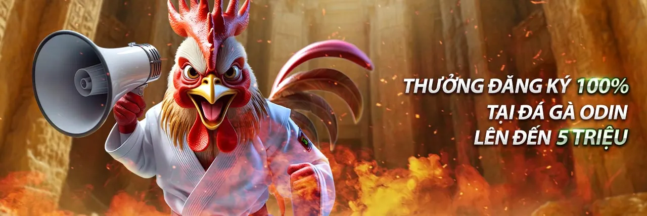 Hình ảnh đại diện cho tuân thủ GDPR và bảo vệ dữ liệu trên ứng dụng ax88